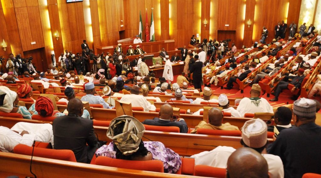 Senate seeks divestment of 40% govt’s stake in DisCos