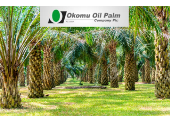 Okomu Oil to Boost Performance with 5,000 Hectares of Oil Palms Plantation