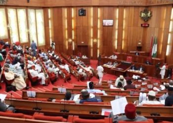 Senate urges economic diversification to boost forex