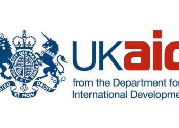 UK Steps Up Support for Improved Electricity in Nigeria, Others