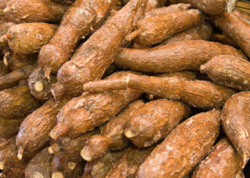 CBN restricts forex for importation of cassava products