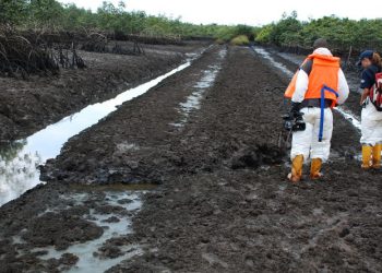 57 firms to clean up Ogoniland for five years