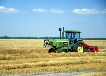 Brazil Proposes $1bn Support for Nigeria’s Agribusiness