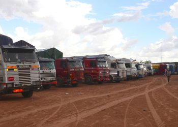 Federal Government urged to clear stranded legitimate cargoes at borders