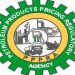 Nigeria has 47 days petrol sufficiency –PPPRA