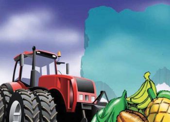 FG Currently Reviewing Agricultural Policy, says Minister