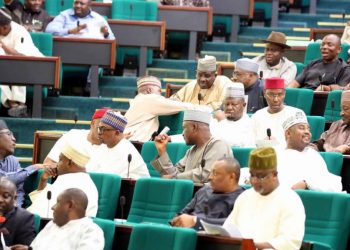 Reps order 400 exotic cars, reject Nigerian brands