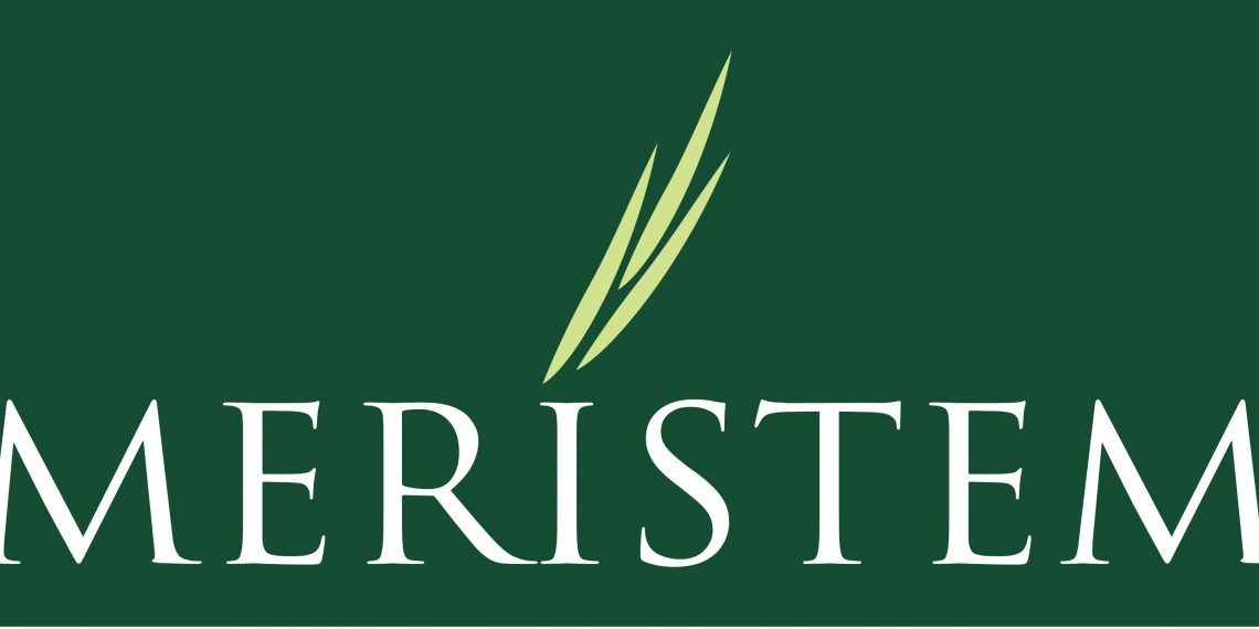 Meristem Wealth Management Launches N1bn Exchange Traded Funds