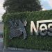Nestle Records N46bn Profit After Tax, Declares N45 Final Dividend