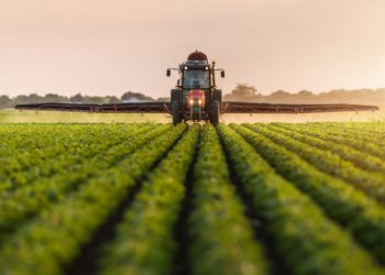 Crude cuts: Nigeria to earn $10.61bn in eight months