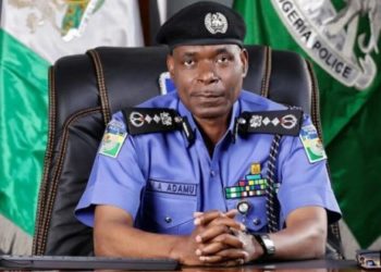 Extend ‘due courtesies’ to doctors, IGP orders officers