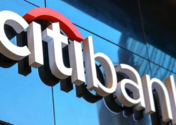 Citibank Boss Tasks FG on Reforms to Increase FDIs