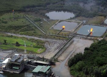 FG Urged to Consider Niger Delta Indigenes in New Marginal Oilfields Bids