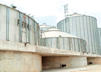 Bumps on Lagos path to generating N60b yearly from Imota Rice Mill
