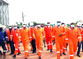 Domestic gas consumption gets a boost as NPDC completes gas plant