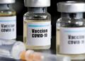 Coronavirus vaccine may be ready for public November – China