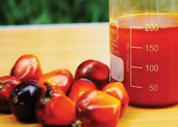 Nigeria spends $500m annually importing palm oil, says FG