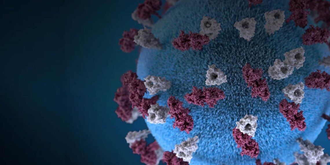 COVID-19 and the Insurance Sector