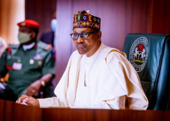 FG plans more borrowing from domestic sources