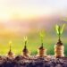 How Nigeria can achieve double-digit growth