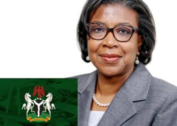 Nigeria’s public debt rose to N32.9tn in Dec – DMO