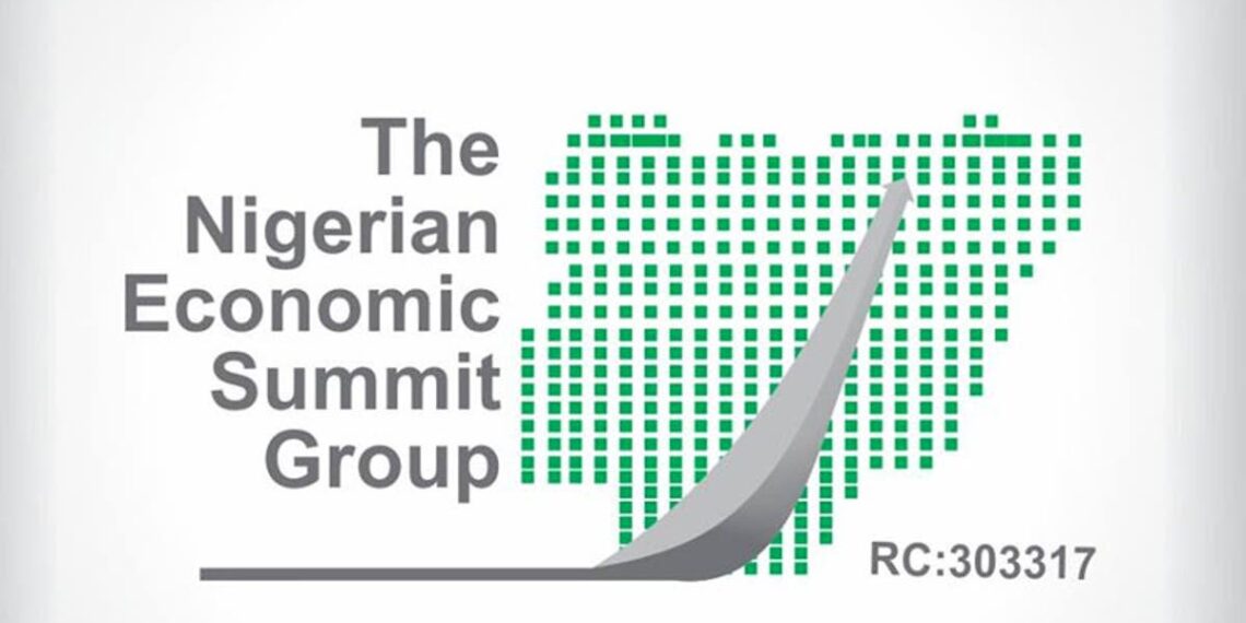 NESG Launches Debt Management Initiative