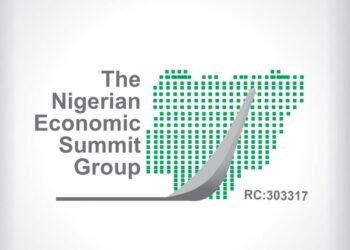 NESG Launches Debt Management Initiative