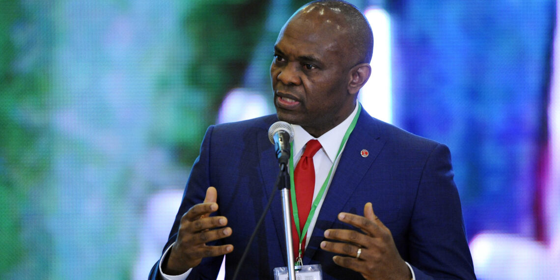 Elumelu calls for investment to tackle poverty in Africa