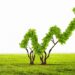 Global green bonds hit $1.1tn, says report