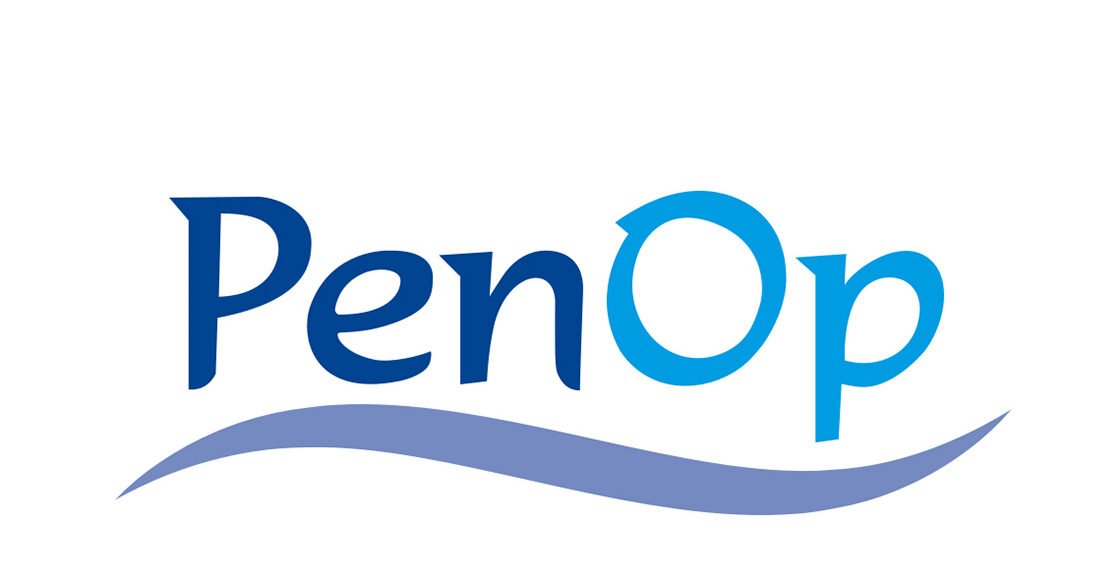 Pension operators seek alternative investments as assets decline