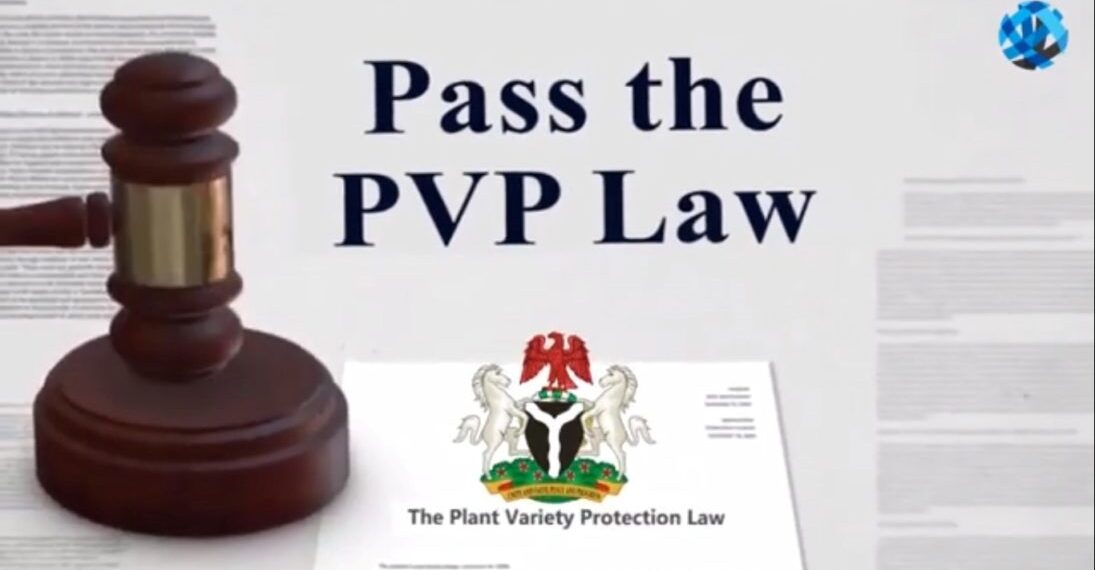 Nigeria targets $2bn from PVP Act implementation
