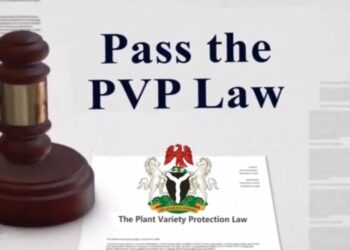 Nigeria targets $2bn from PVP Act implementation