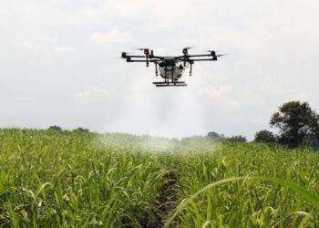 Expert Harps on Digital Smart Farming Solutions to Boost Food Production