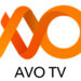 AVO TV Set to Disrupt Pay Television Space, Offers Free Channels