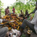 ‘Cocoa tops list of exportable agric products’