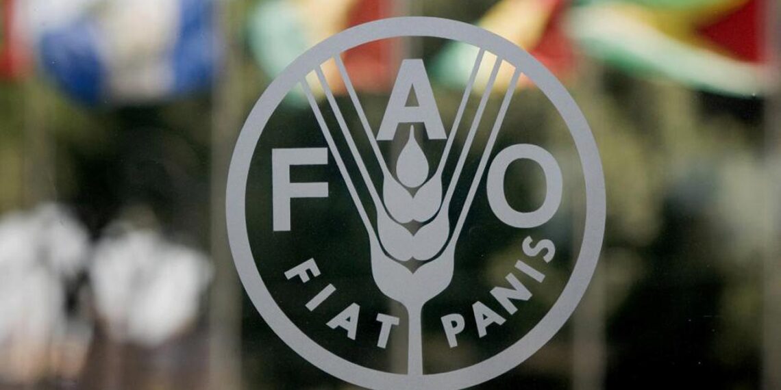 Africa Loses Maize Yield Worth $10bn to Fall Armyworm Annually, Says FAO