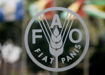 Africa Loses Maize Yield Worth $10bn to Fall Armyworm Annually, Says FAO