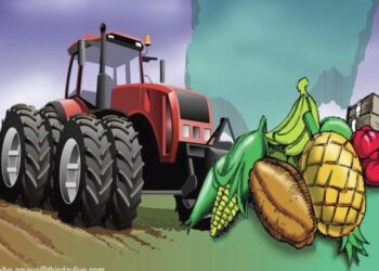 FG Urged to Invest in Biotechnology to Strengthen Food Security