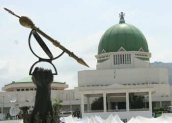 N’Assembly Okays Electronic Transmission of Results, Direct Primary