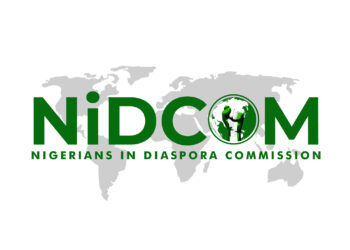 Alternatives for Diaspora Investment in Real Sector