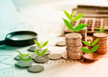 Nigeria records 97.73% increase in capital importation