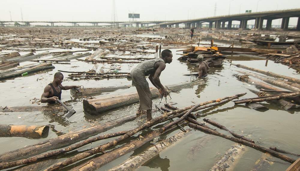 Plan to relocate Lagos sawmill operators gets boost