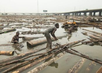 Plan to relocate Lagos sawmill operators gets boost