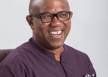 Why FG can’t generate enough revenue through taxation, by Obi