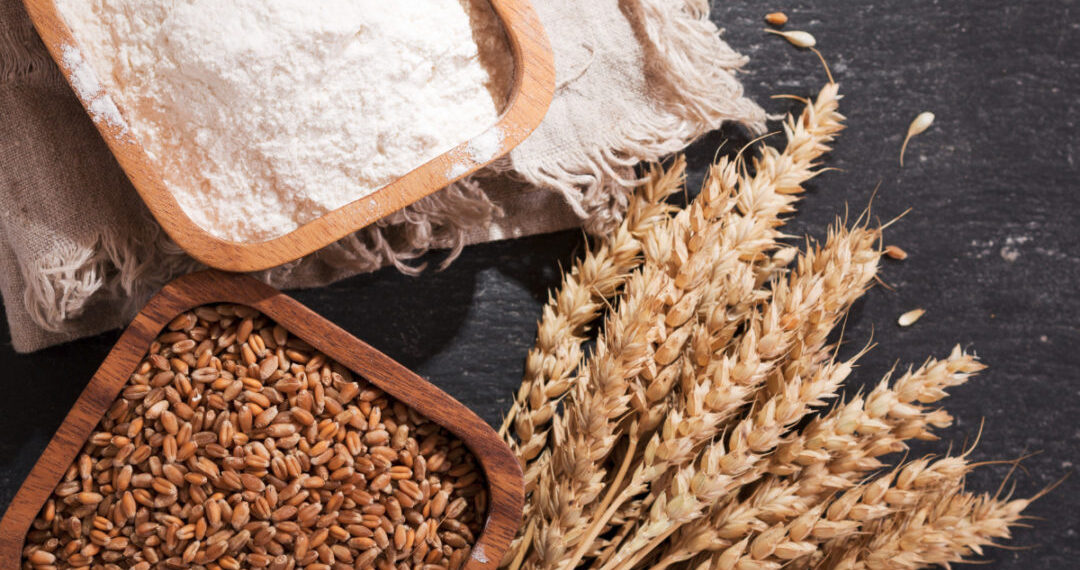 Analysts Call for Urgent Action to Avert Collapse of Wheat Value Chain