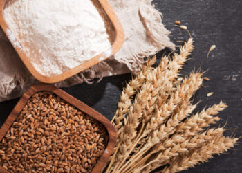 Analysts Call for Urgent Action to Avert Collapse of Wheat Value Chain