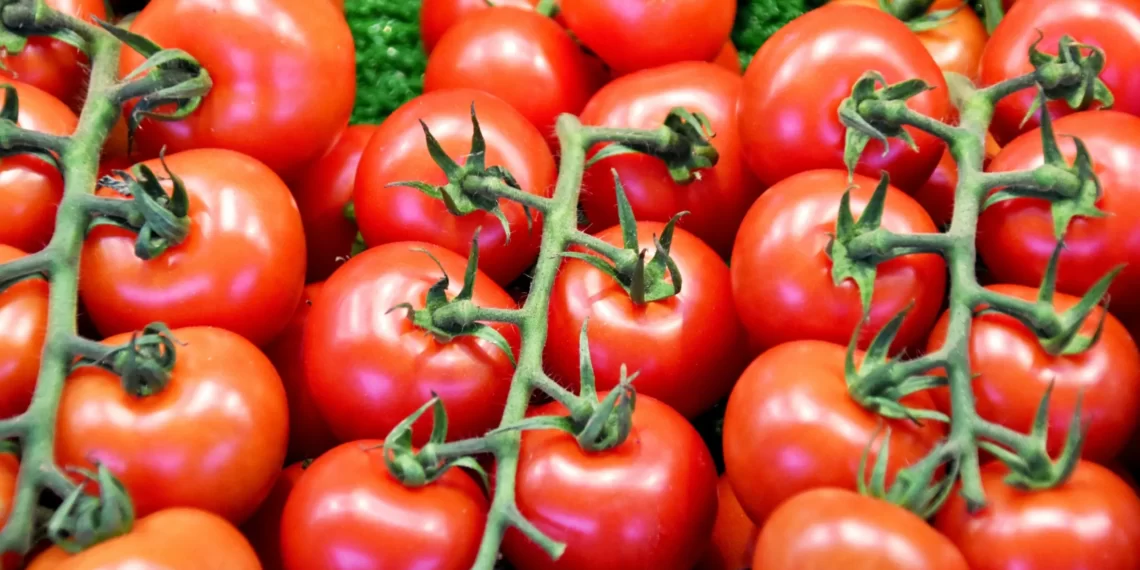 Chinese, Nigerian Importers Floods Market With Substandard Tomato Past