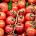 Chinese, Nigerian Importers Floods Market With Substandard Tomato Past