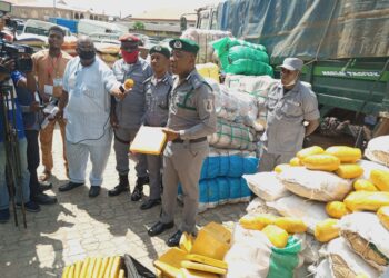 Customs seize rice, back economic growth