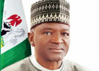 Nigeria’s 56% agricultural land not in use – Minister